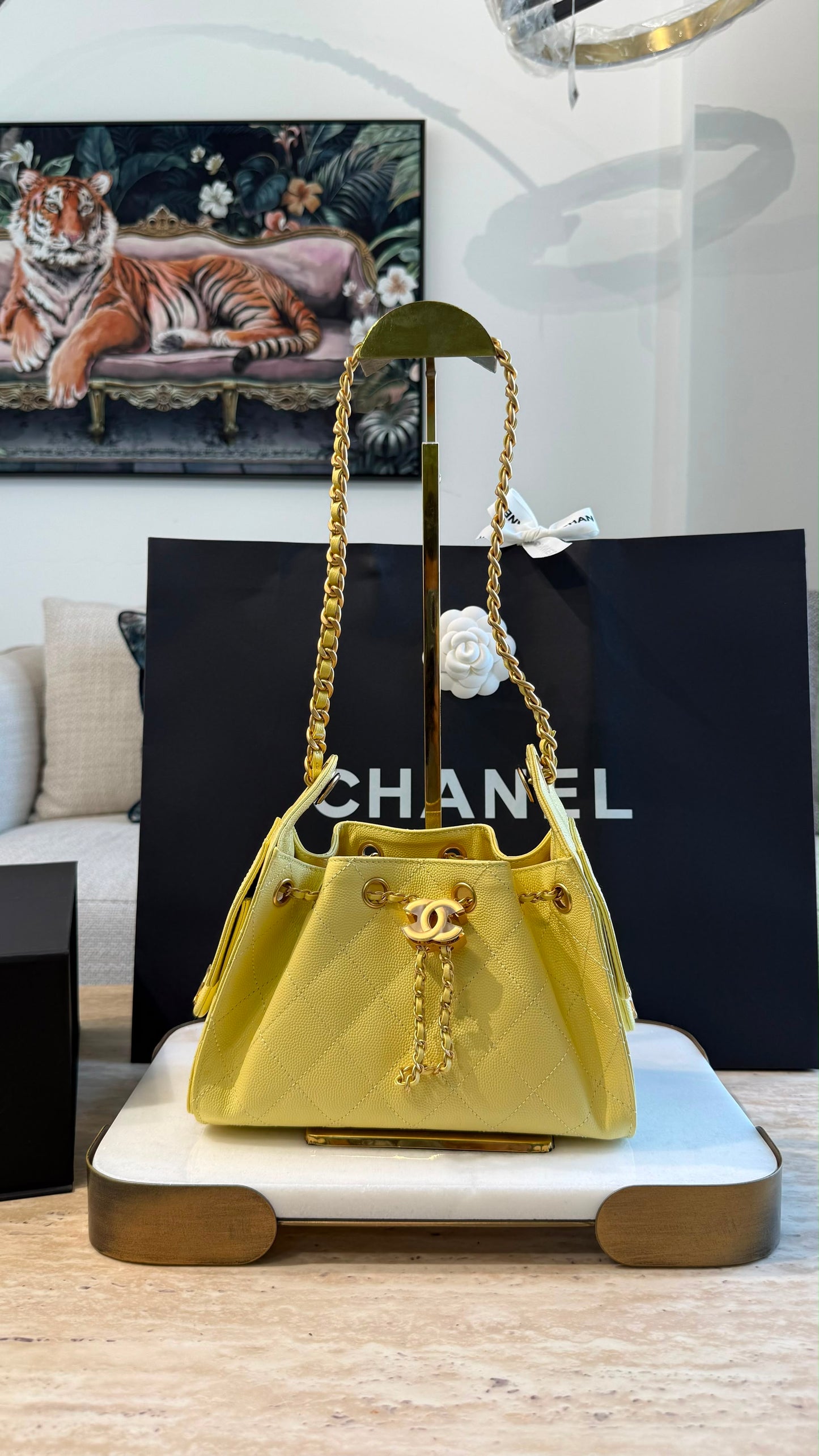 Chanel 25 Mini Handbag