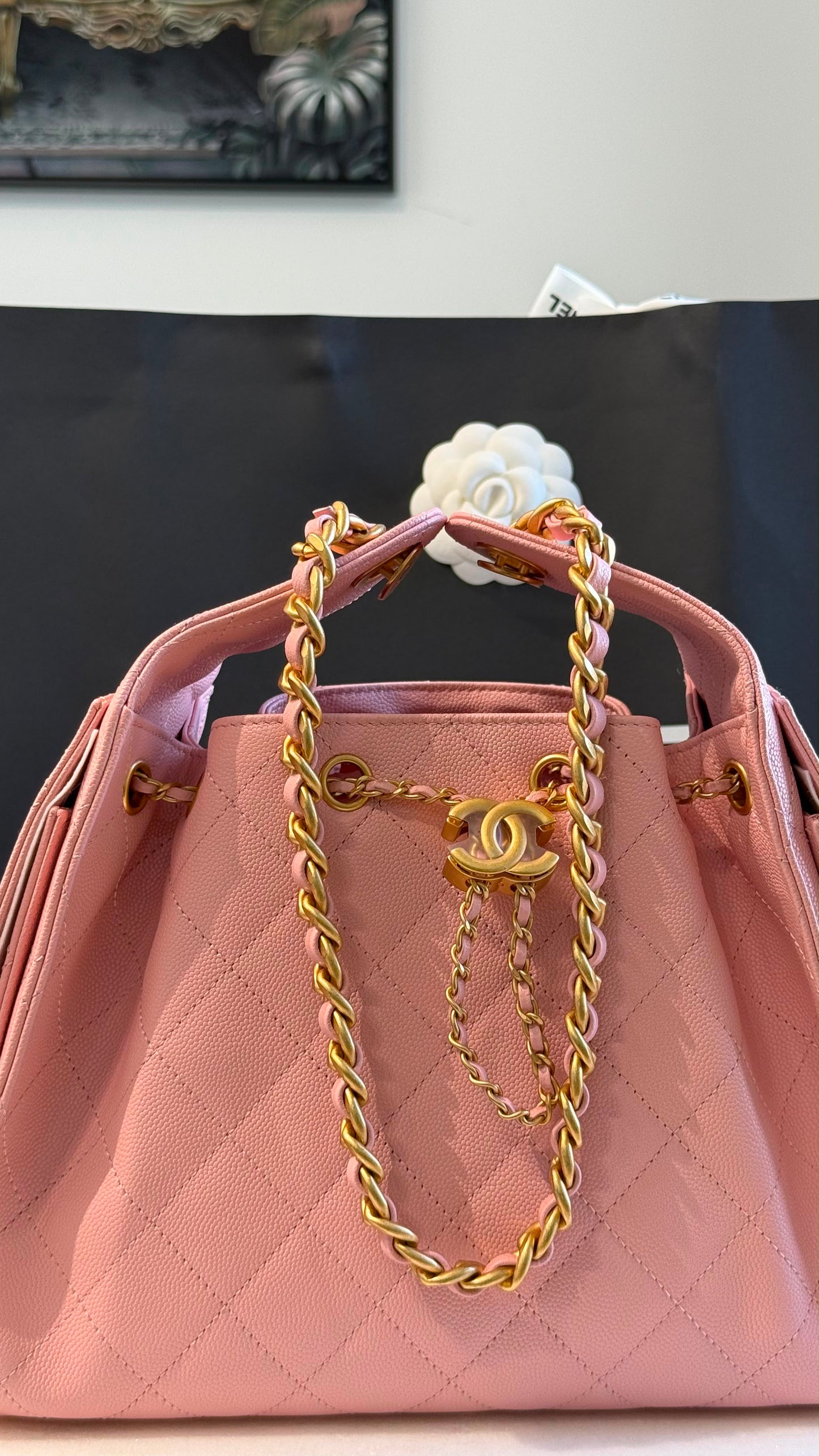 Chanel 25 Small Handbag