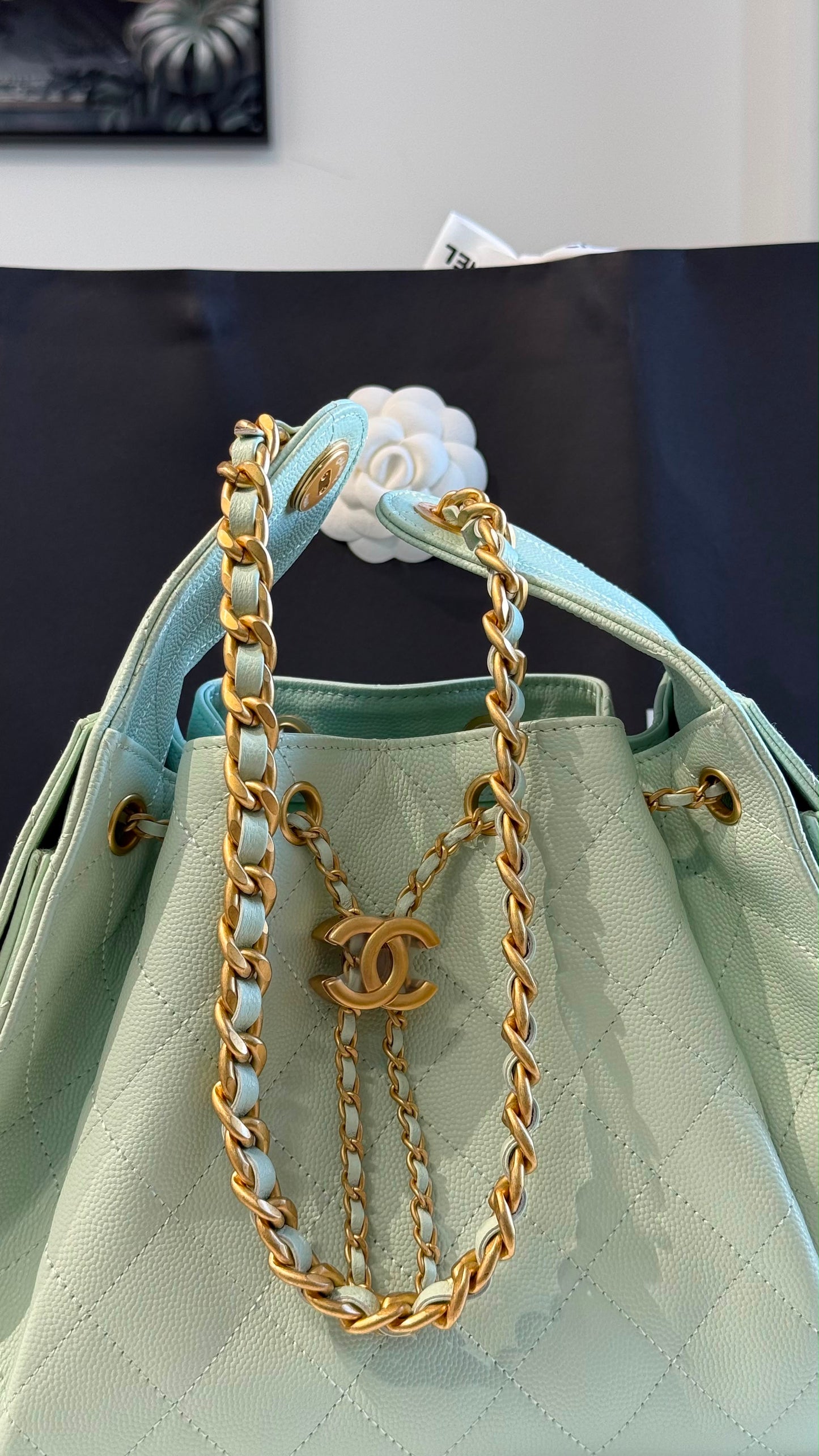 Chanel 25 Small Handbag