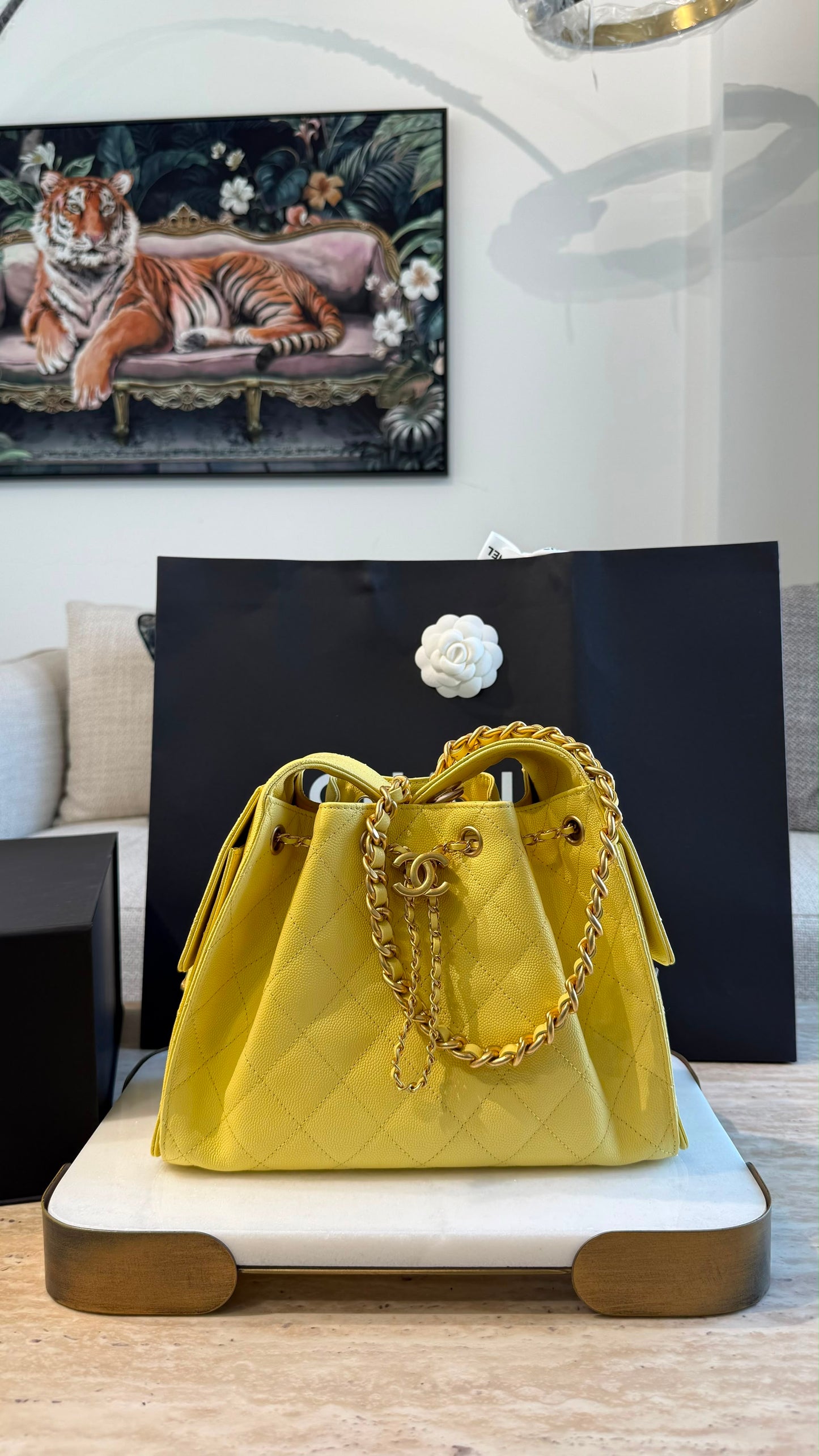 Chanel 25 Small Handbag