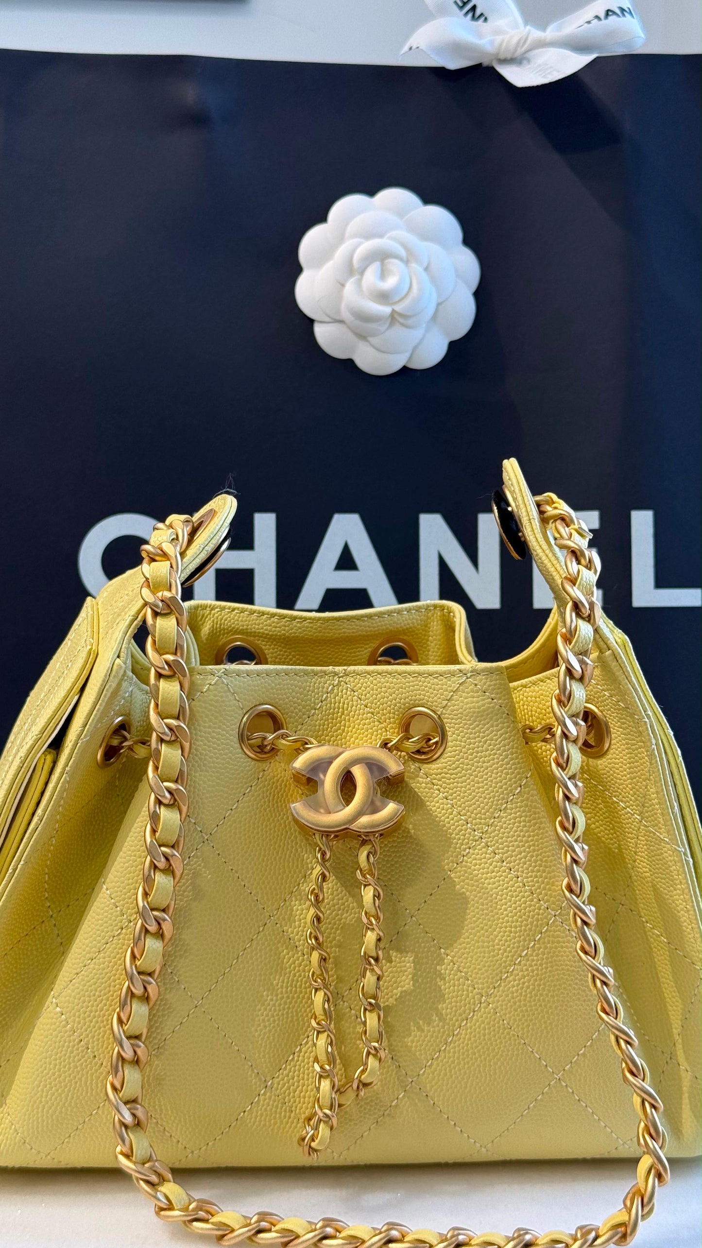 Chanel 25 Mini Handbag