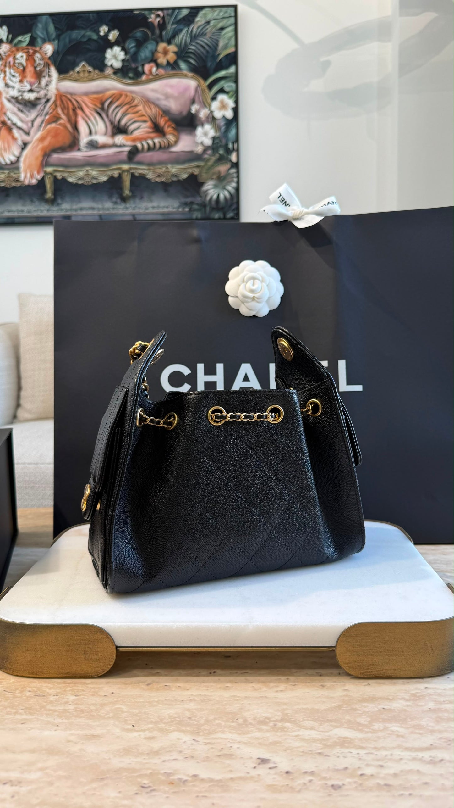Chanel 25 Mini Handbag
