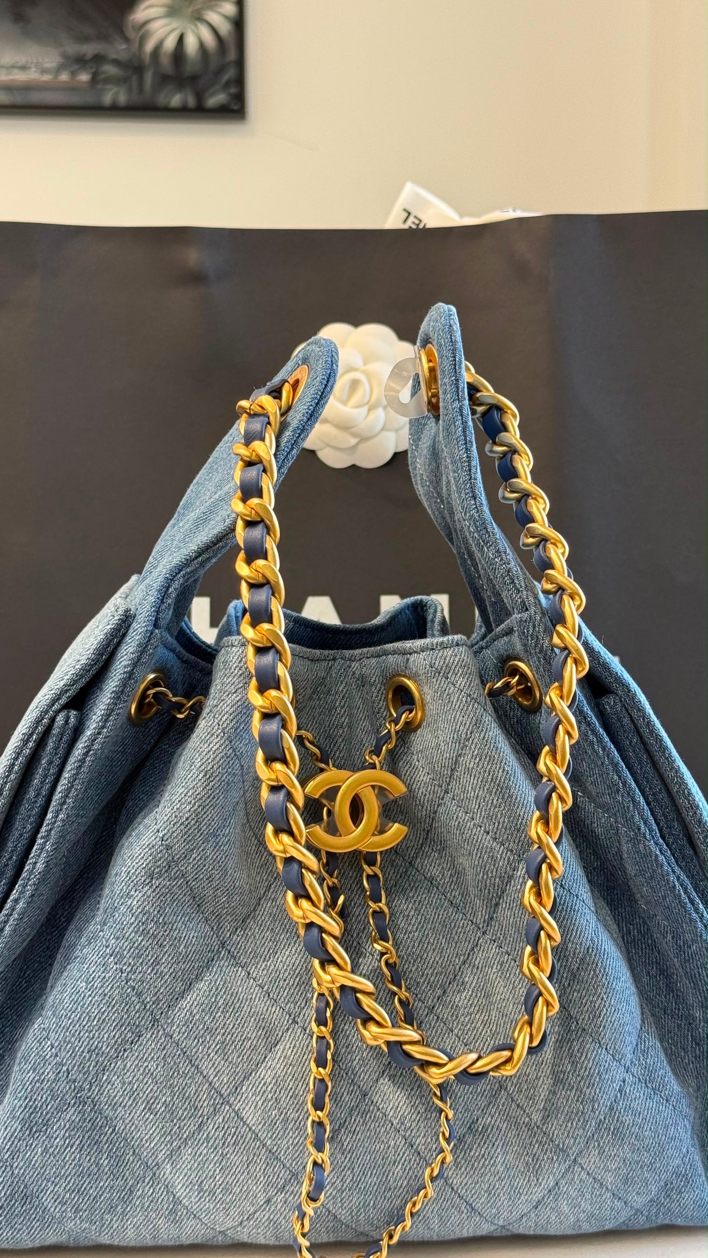 Chanel 25 Small Handbag