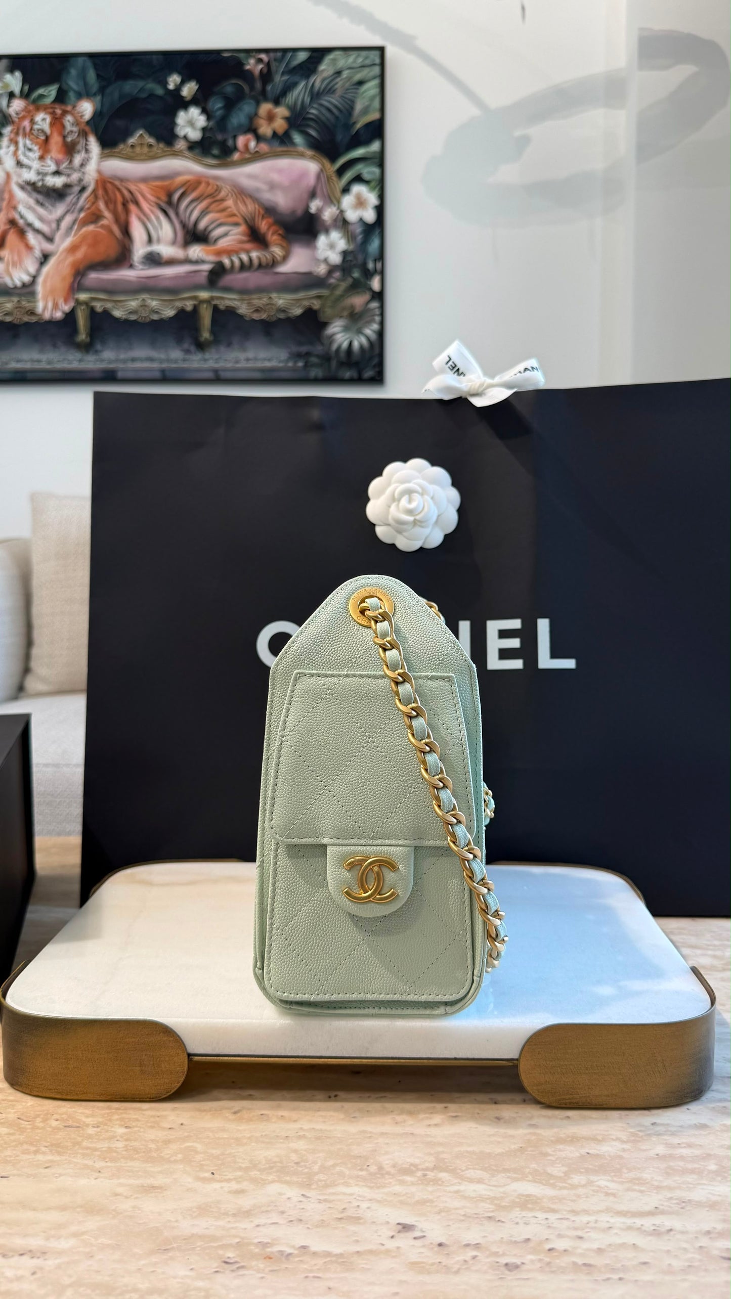 Chanel 25 Mini Handbag