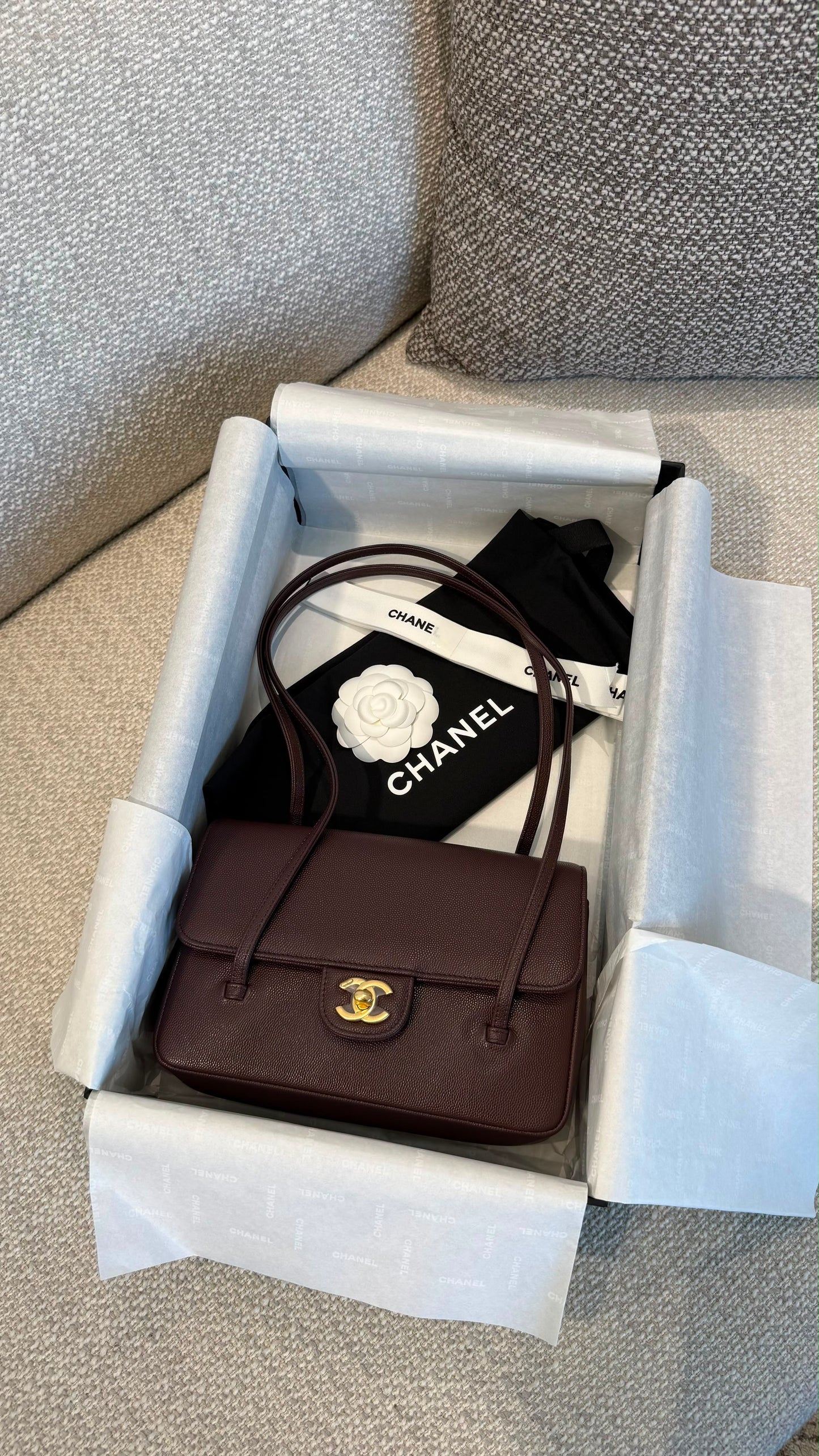Small Preppy Flap Bag Brown