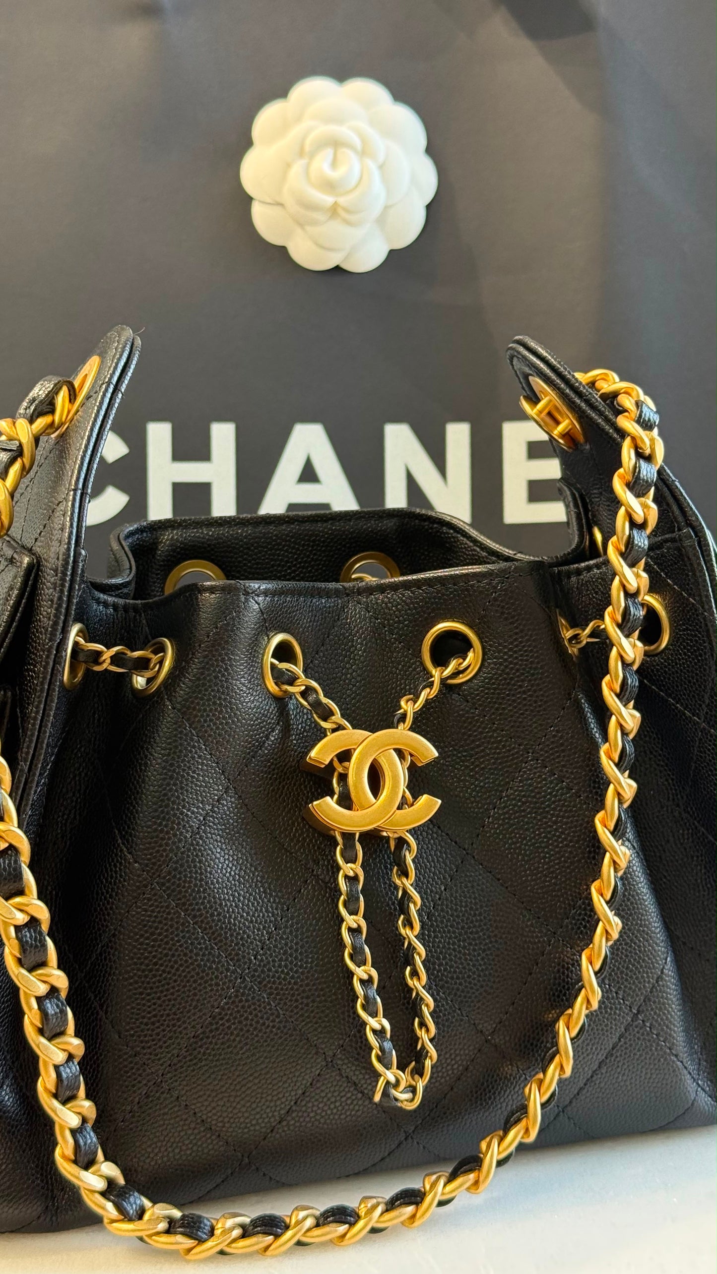 Chanel 25 Mini Handbag