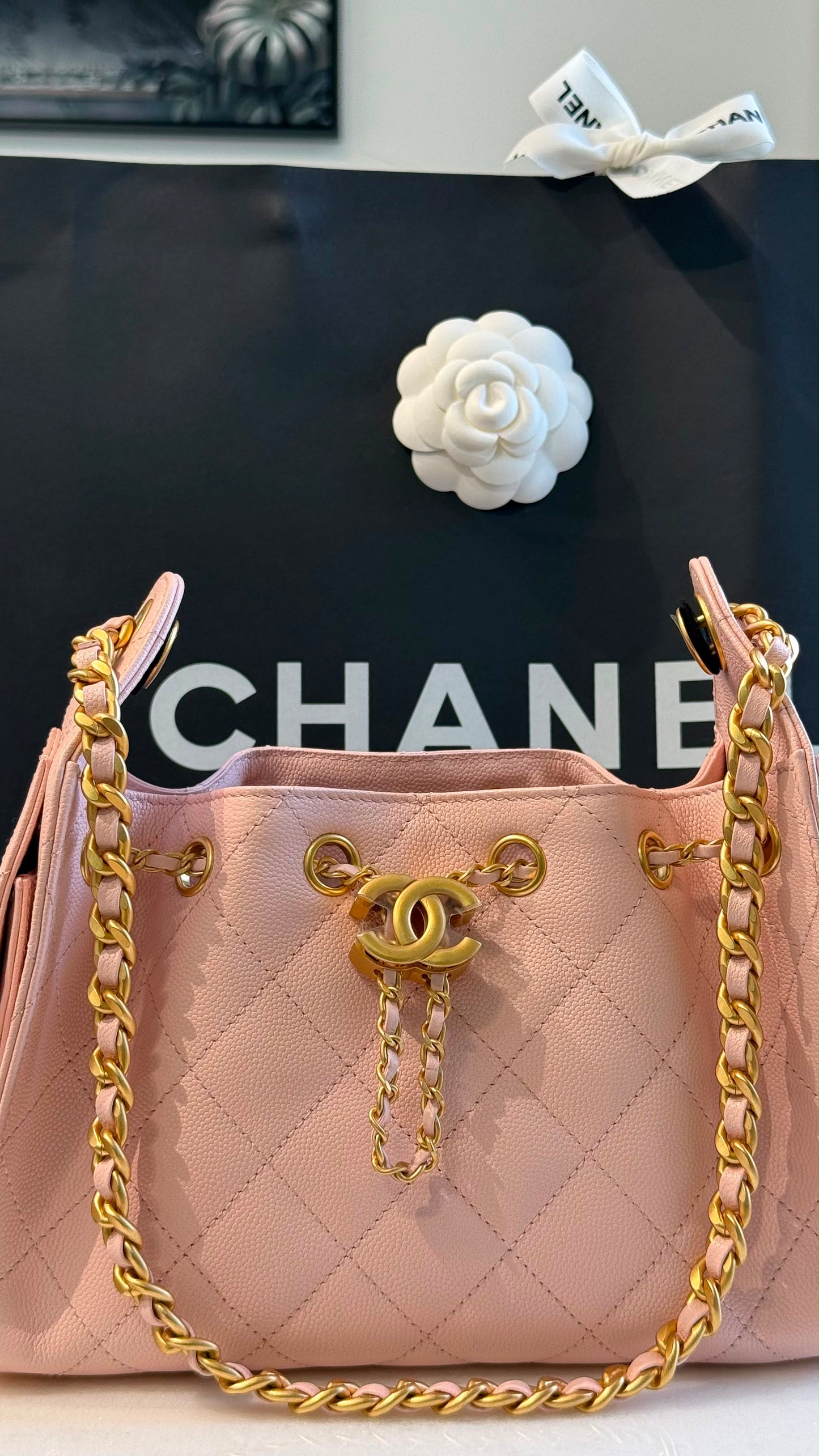 Chanel 25 mini handbag