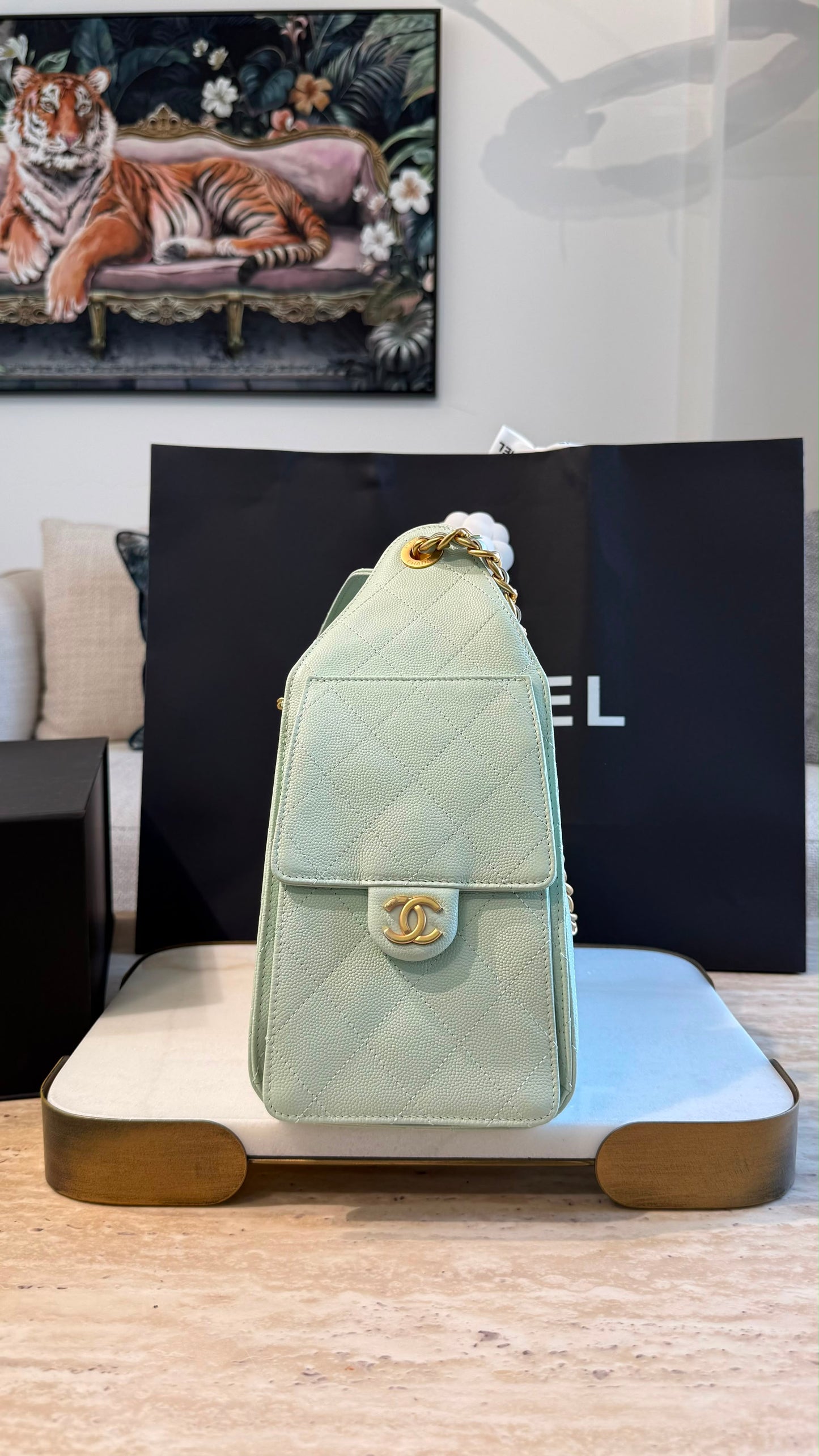 Chanel 25 Small Handbag