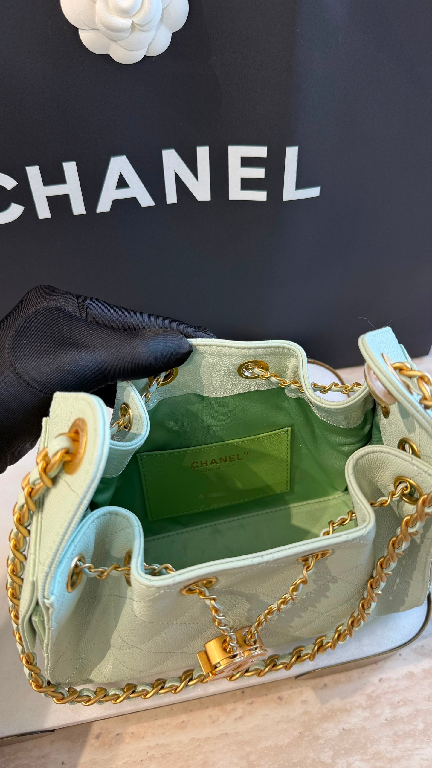 Chanel 25 Mini Handbag