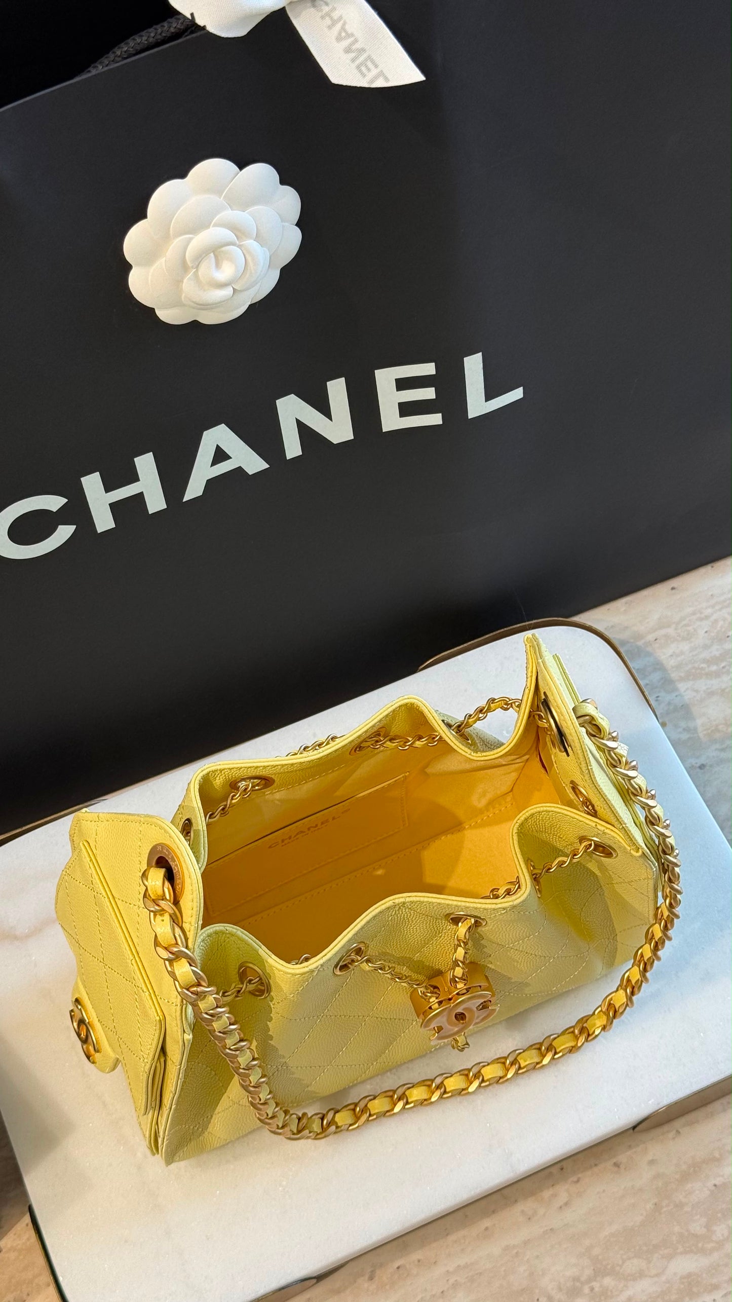 Chanel 25 Mini Handbag