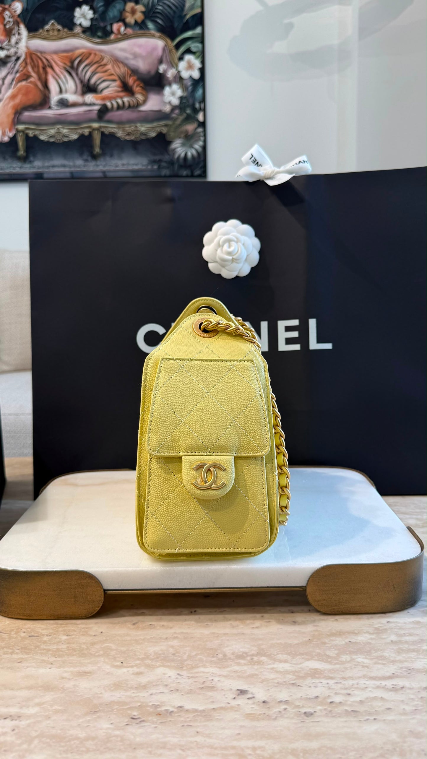 Chanel 25 Mini Handbag
