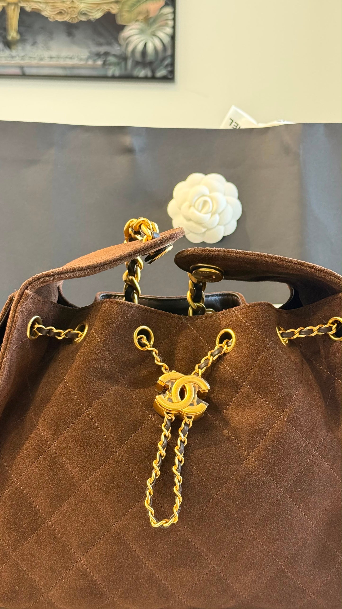 Chanel 25 Small Handbag