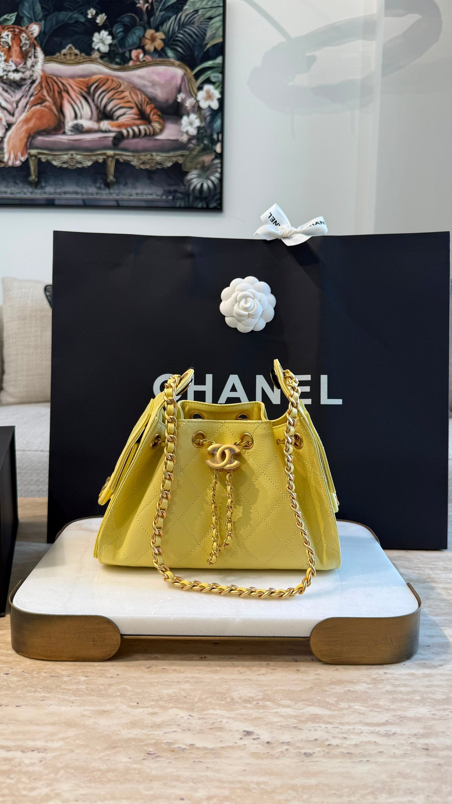 Chanel 25 Mini Handbag