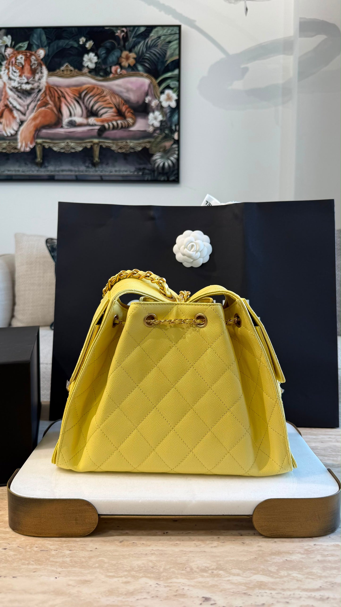 Chanel 25 Small Handbag