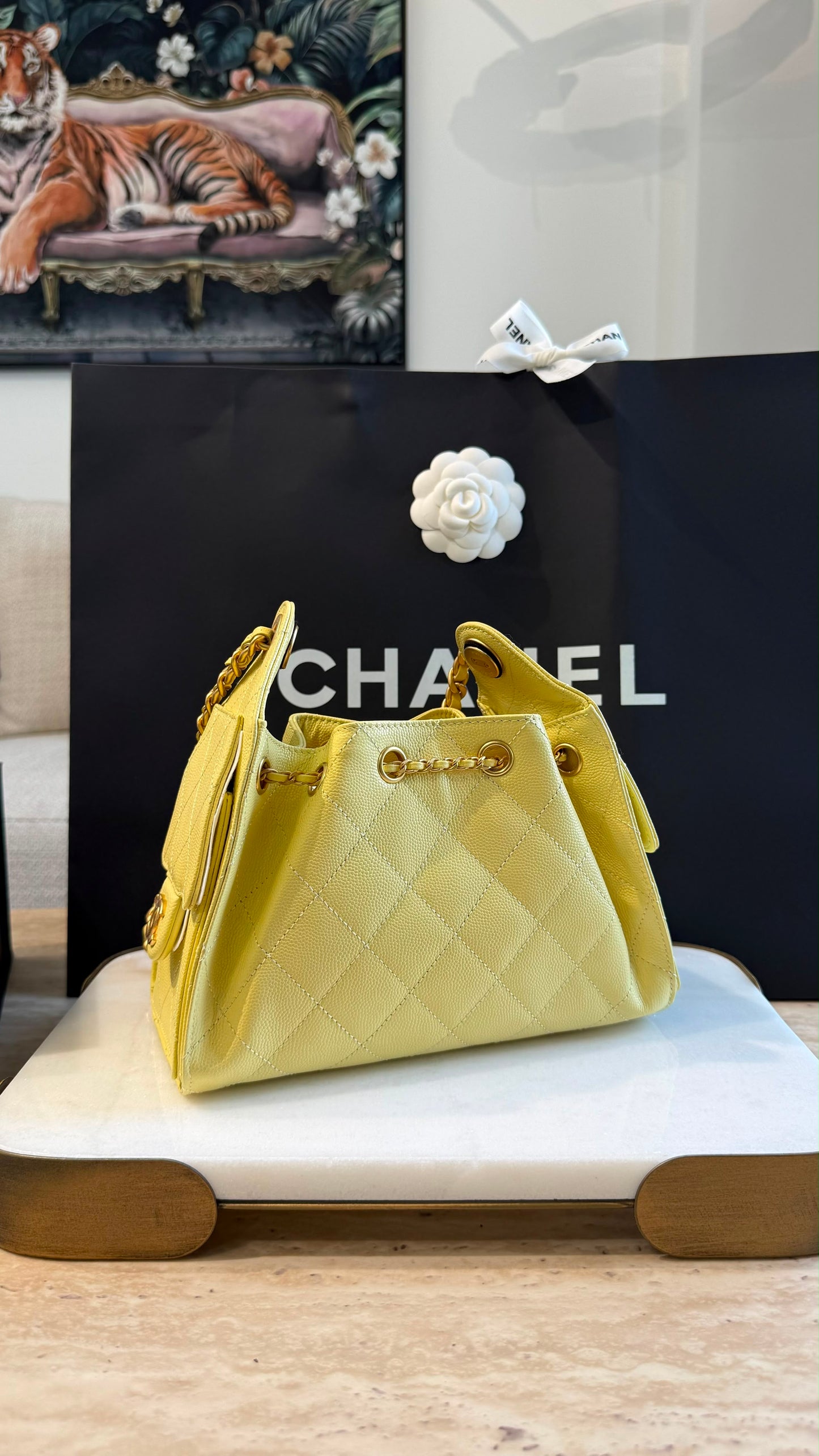Chanel 25 Mini Handbag
