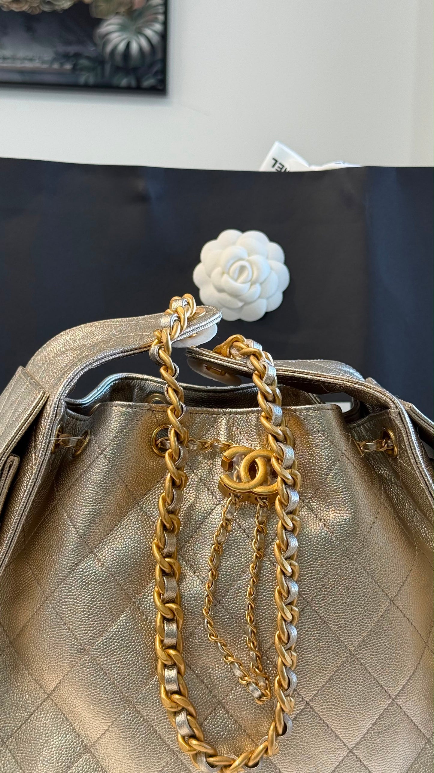 Chanel 25 Small Handbag