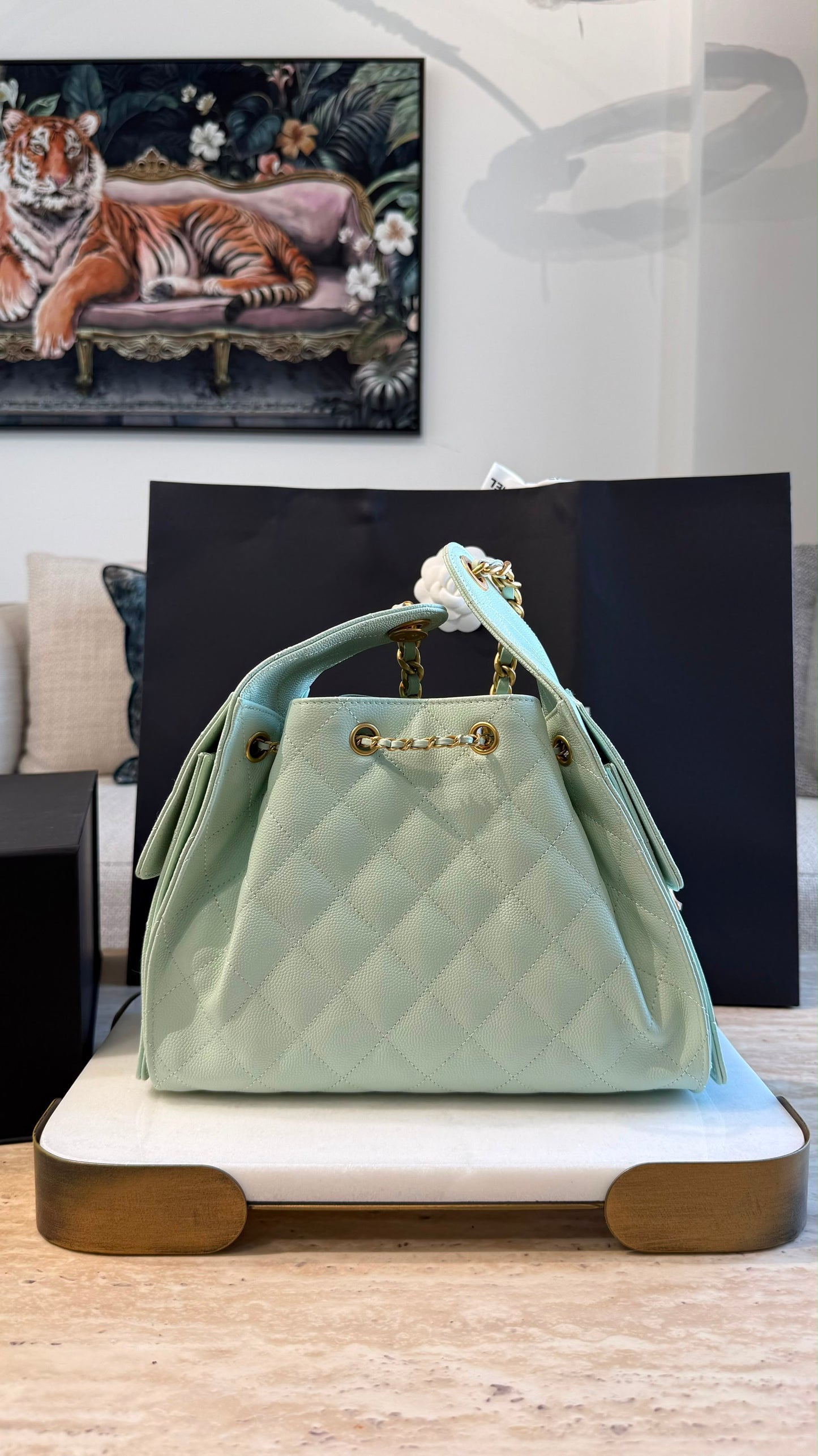 Chanel 25 Small Handbag