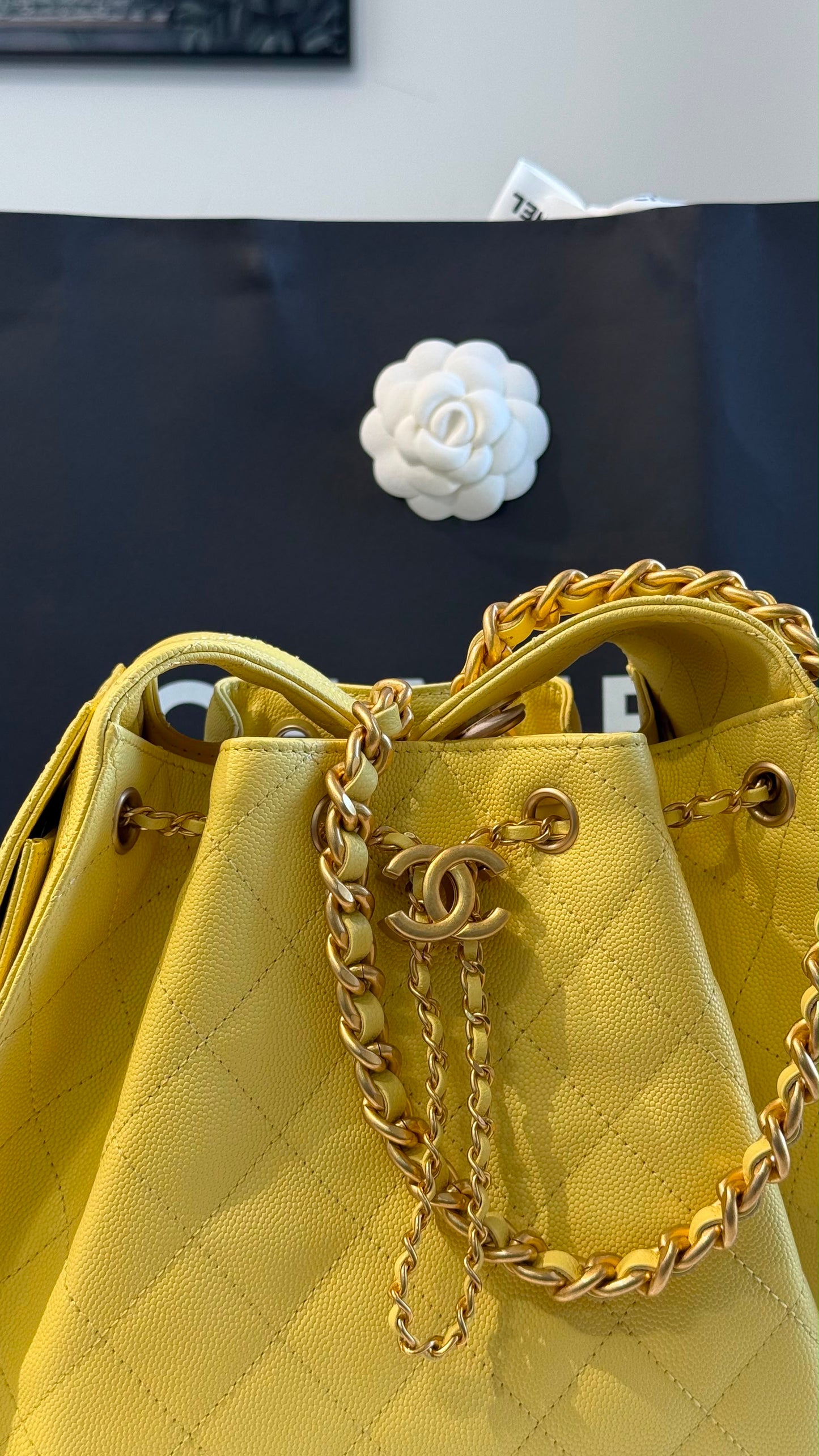 Chanel 25 Small Handbag