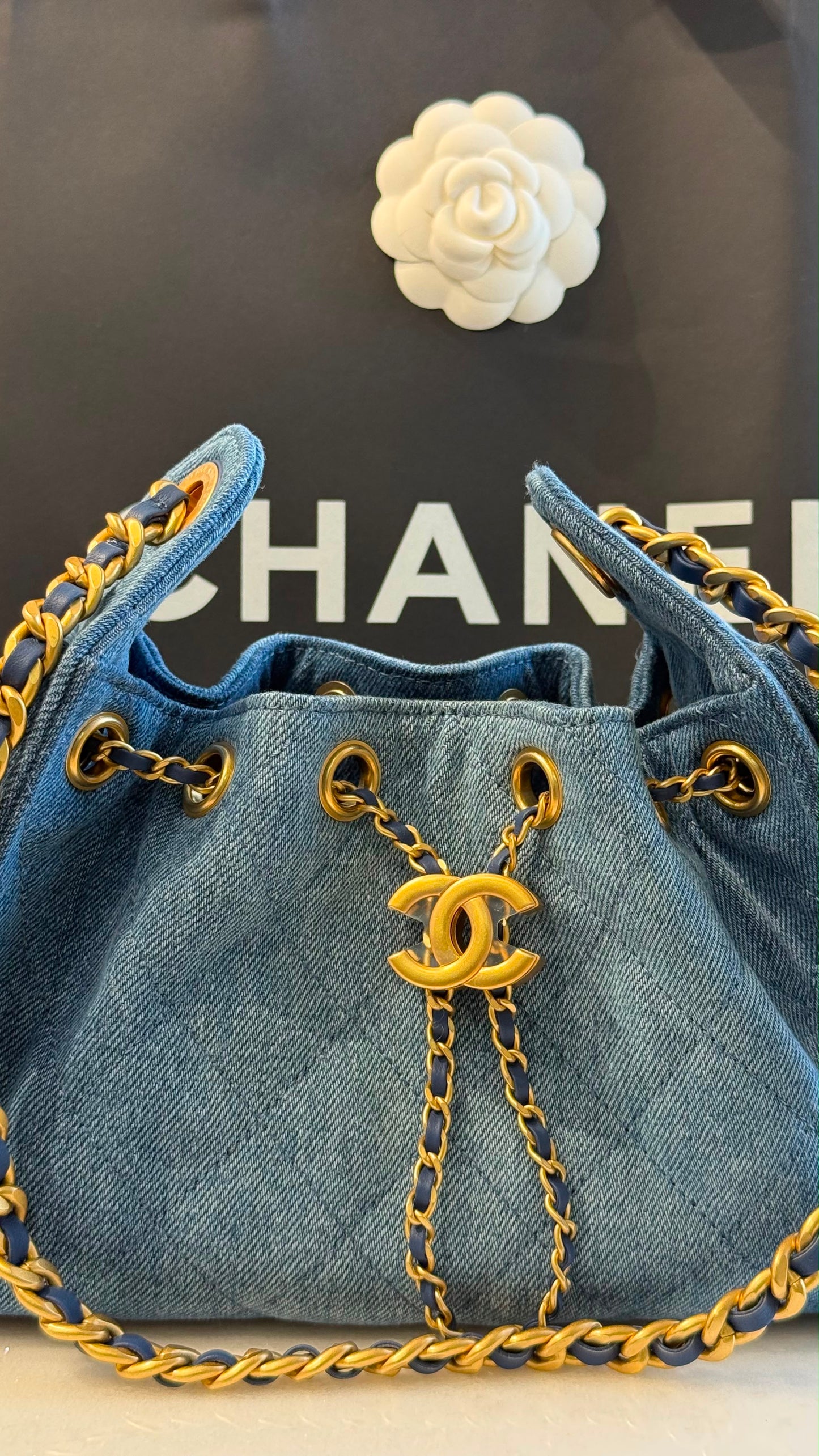Chanel 25 Mini Handbag