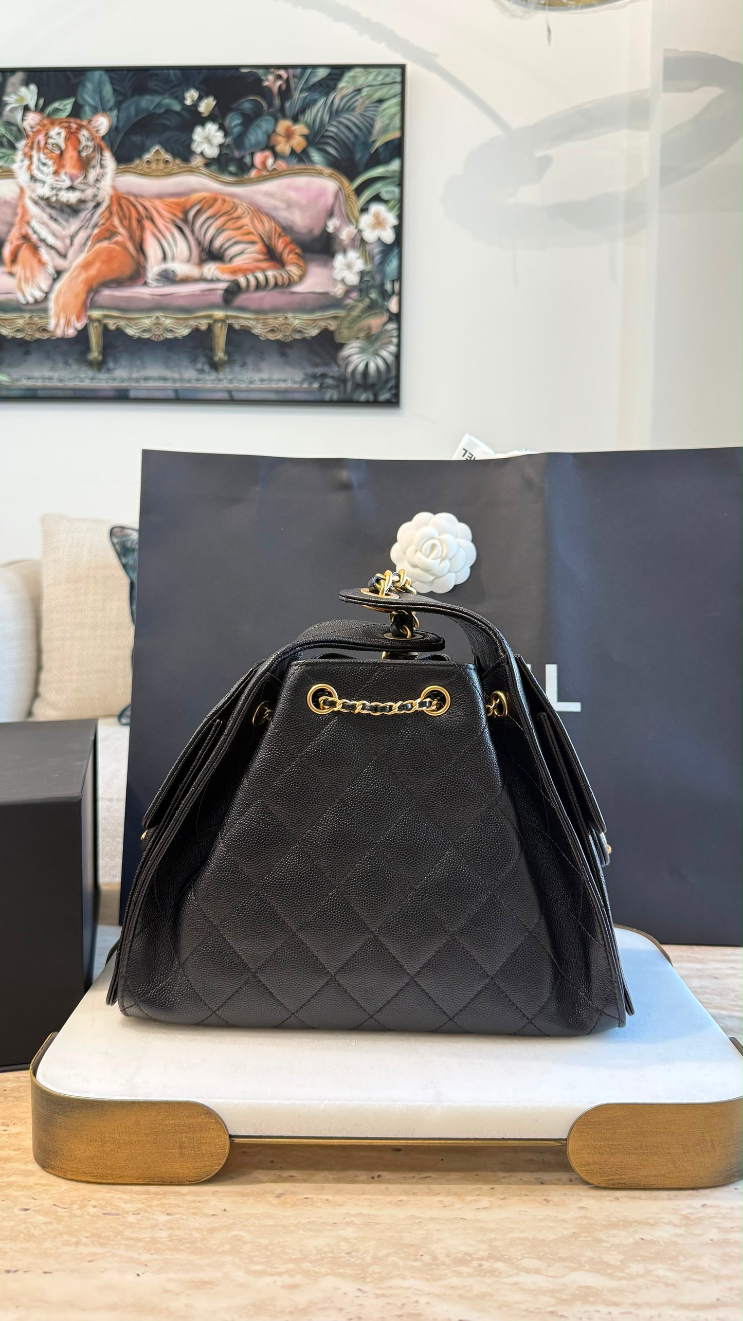 Chanel 25 Small Handbag
