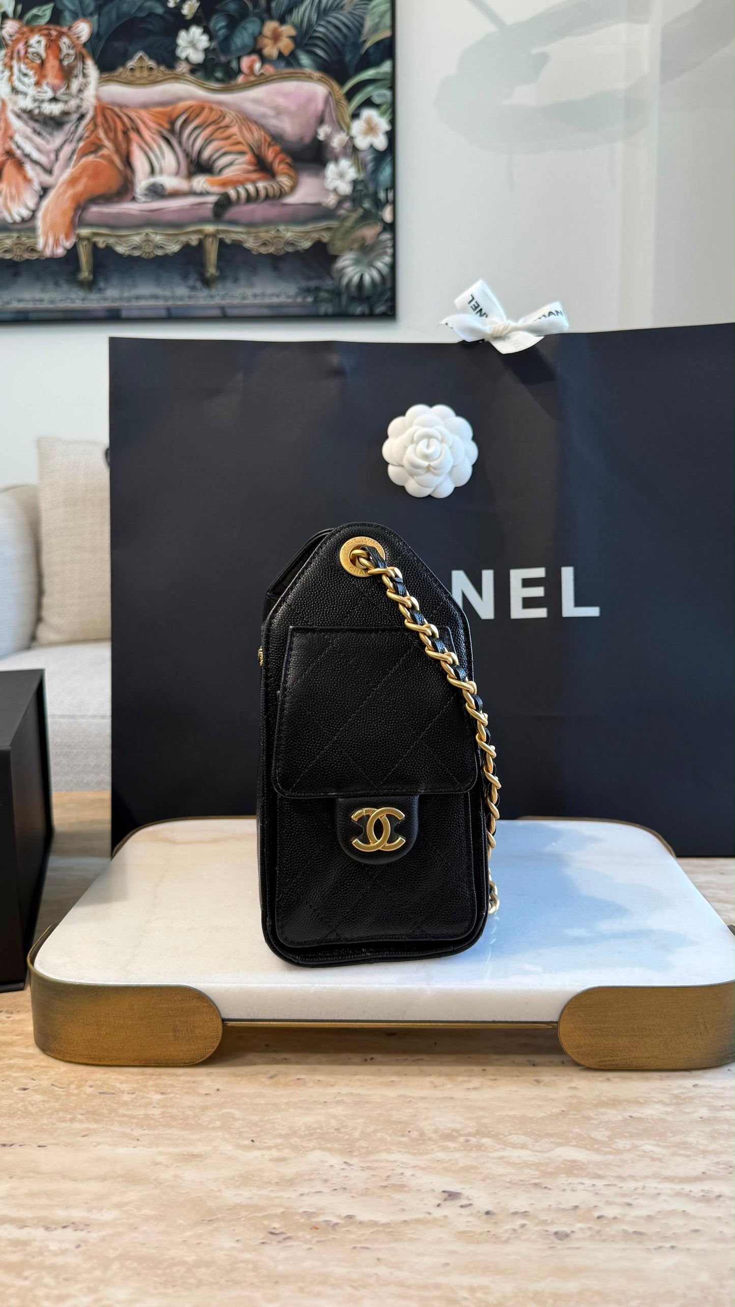 Chanel 25 Mini Handbag