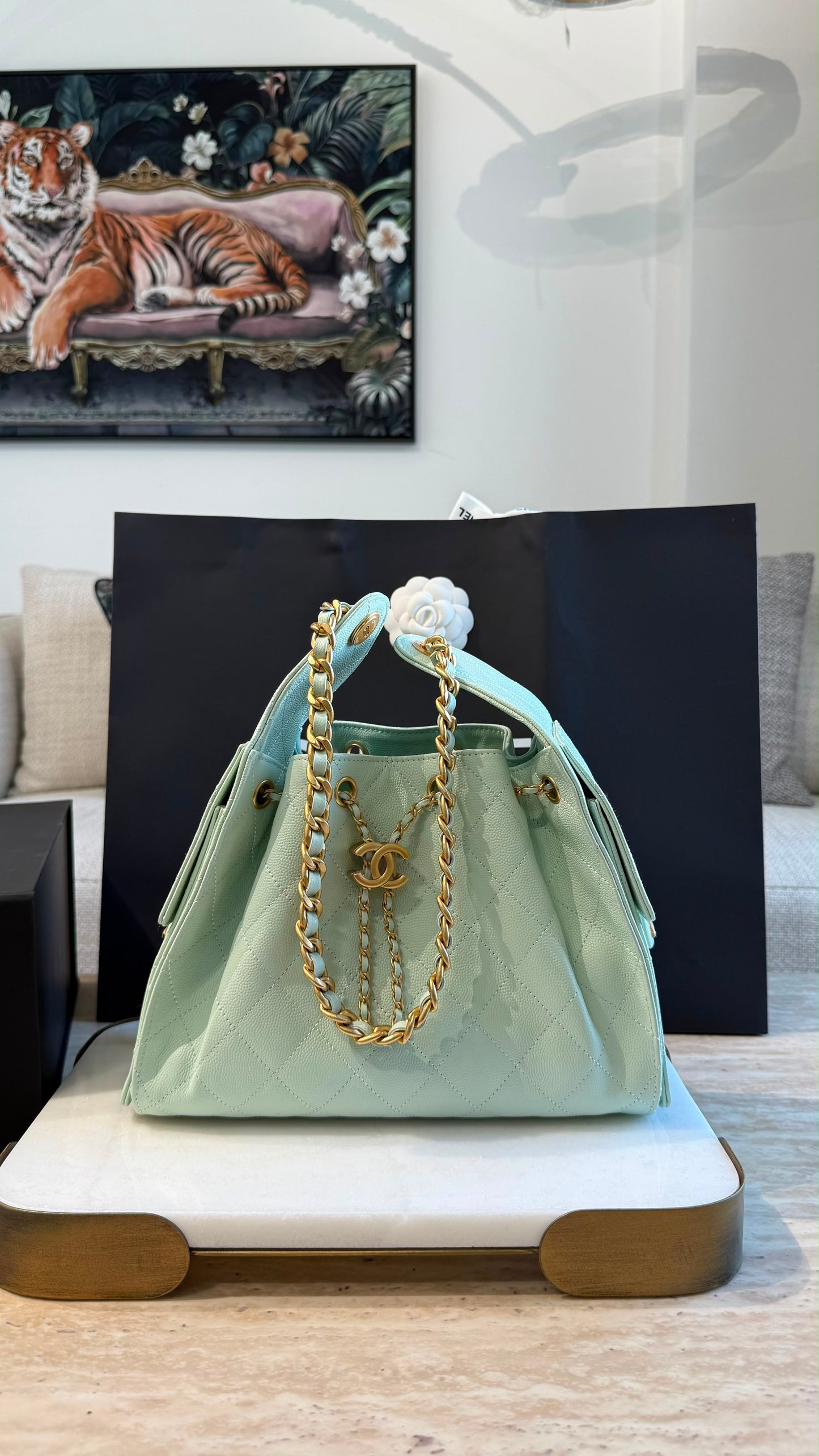 Chanel 25 Small Handbag