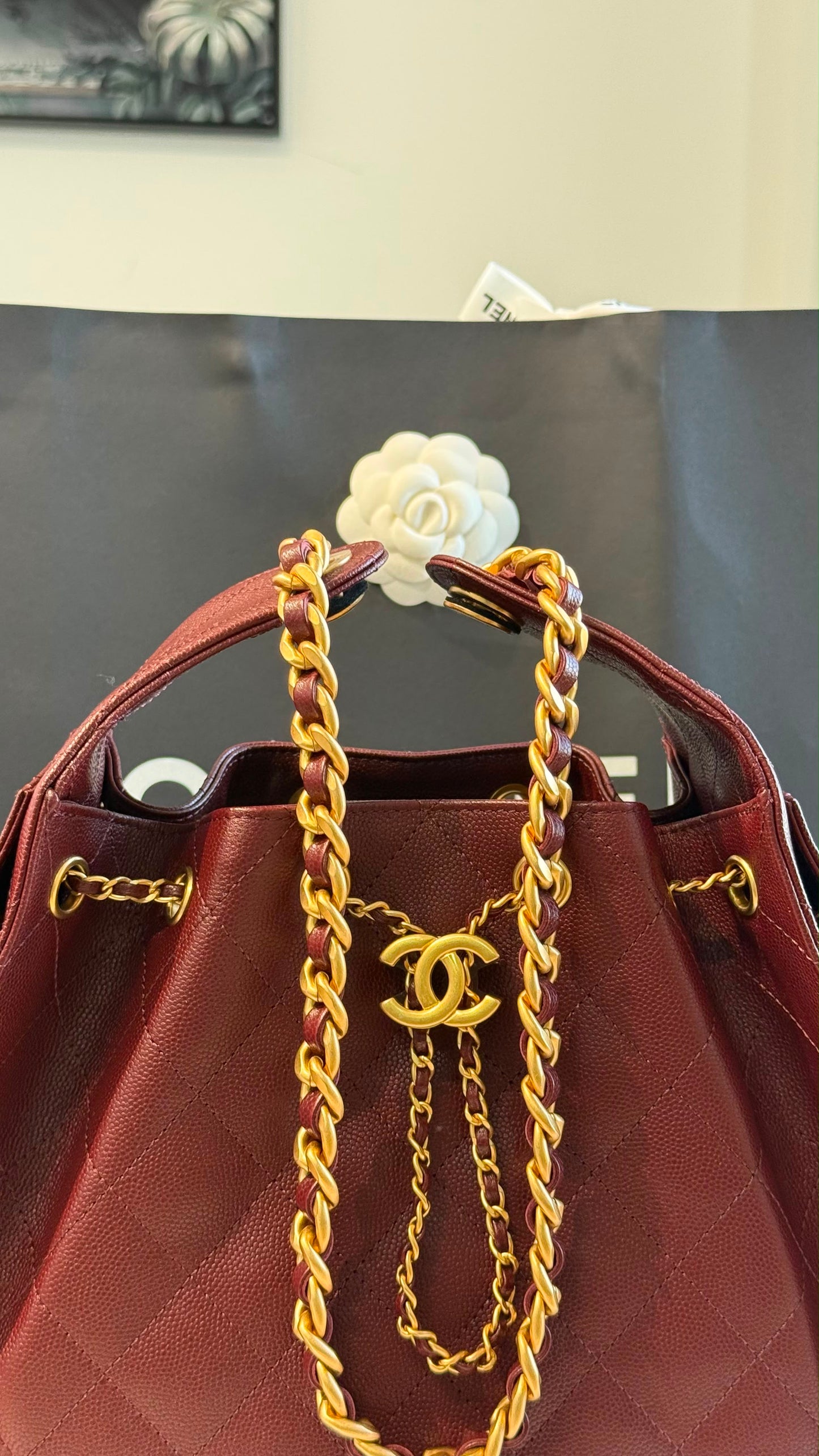 Chanel 25 Small Handbag