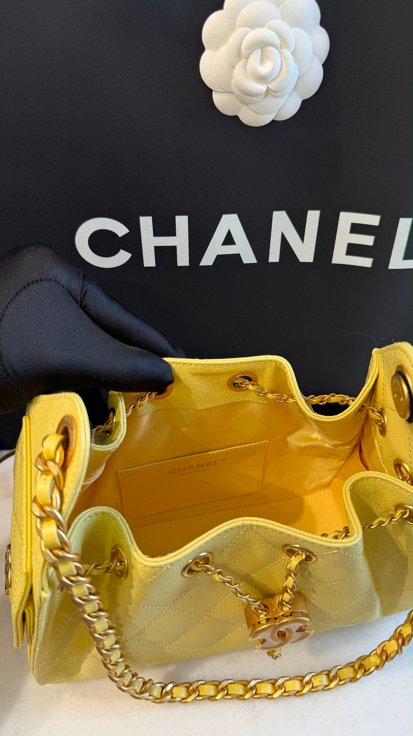 Chanel 25 Mini Handbag