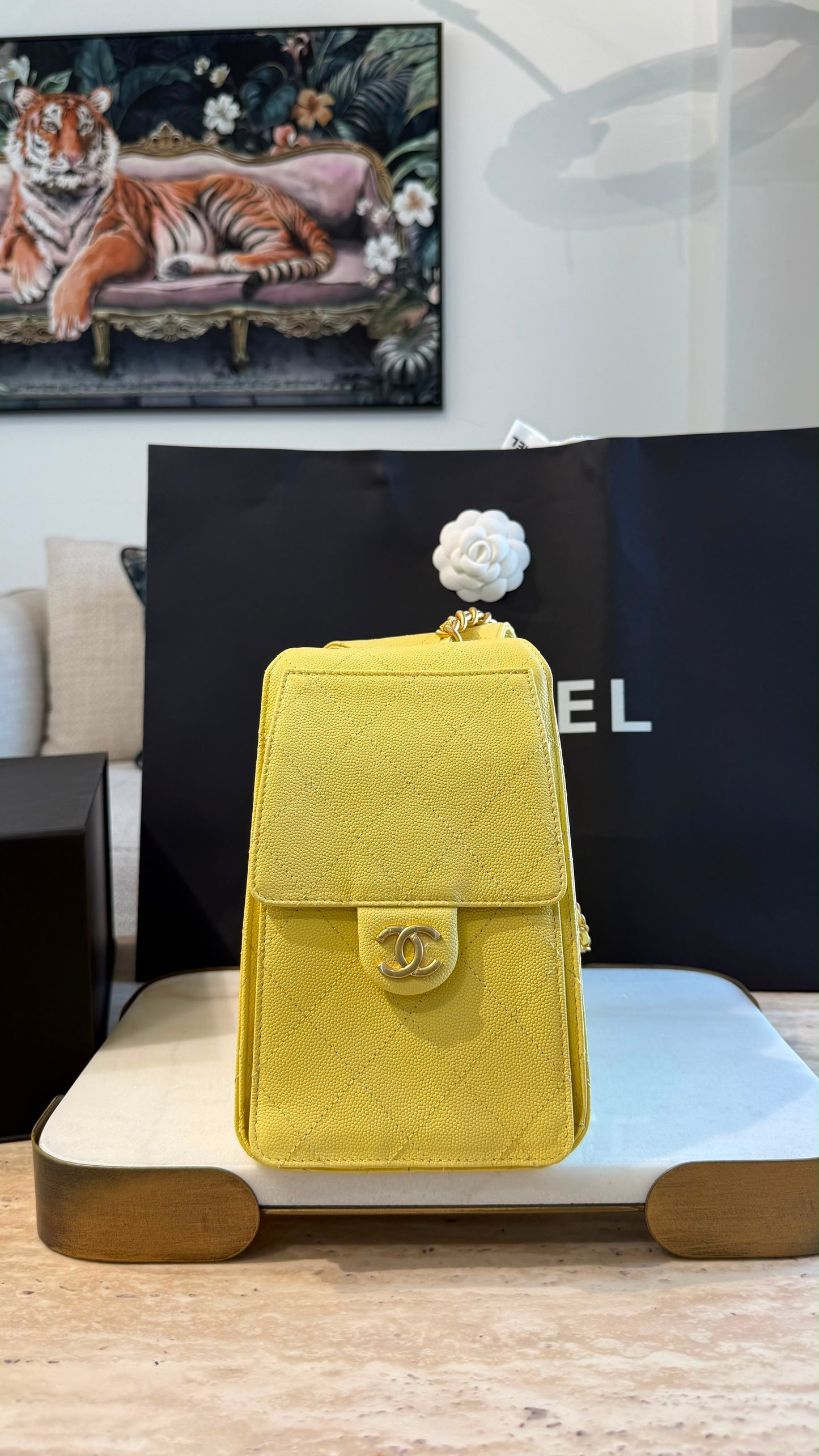 Chanel 25 Small Handbag