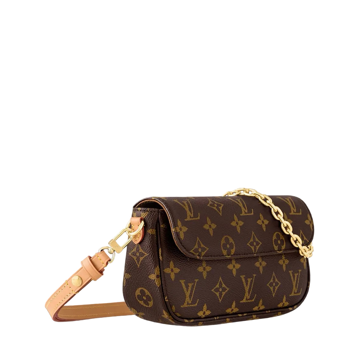 Wallet On Chain Ivy