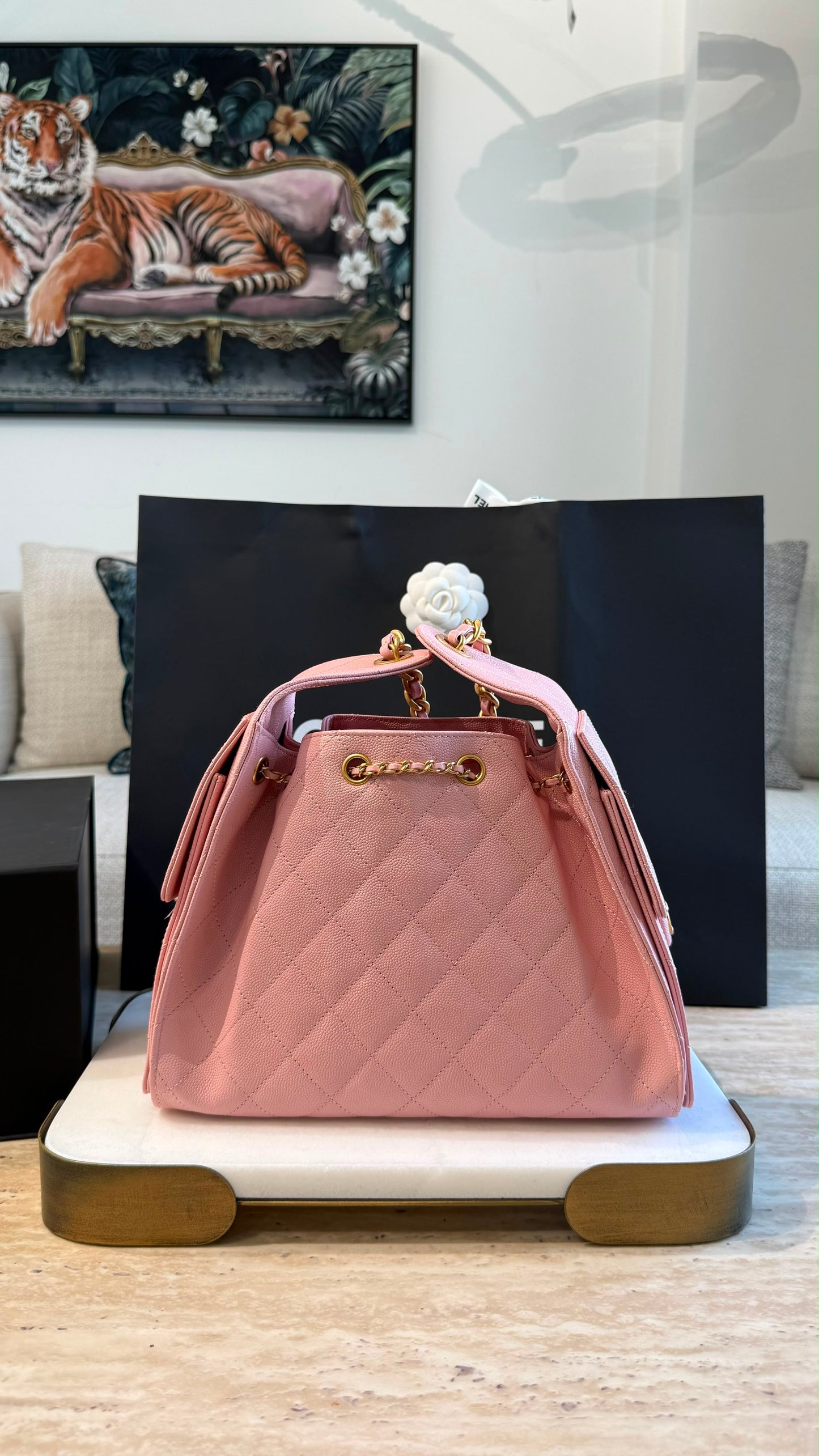 Chanel 25 Small Handbag