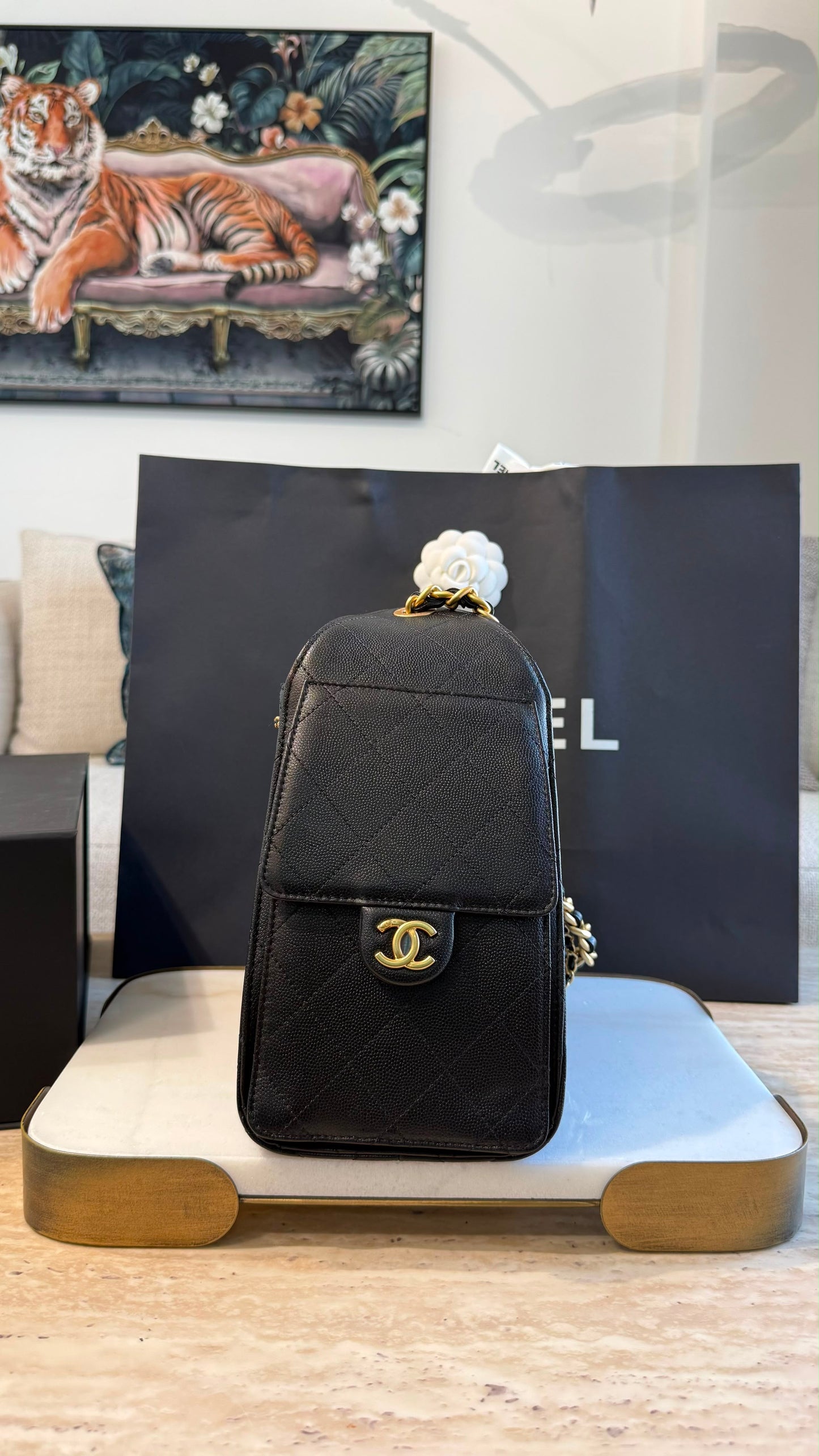 Chanel 25 Small Handbag