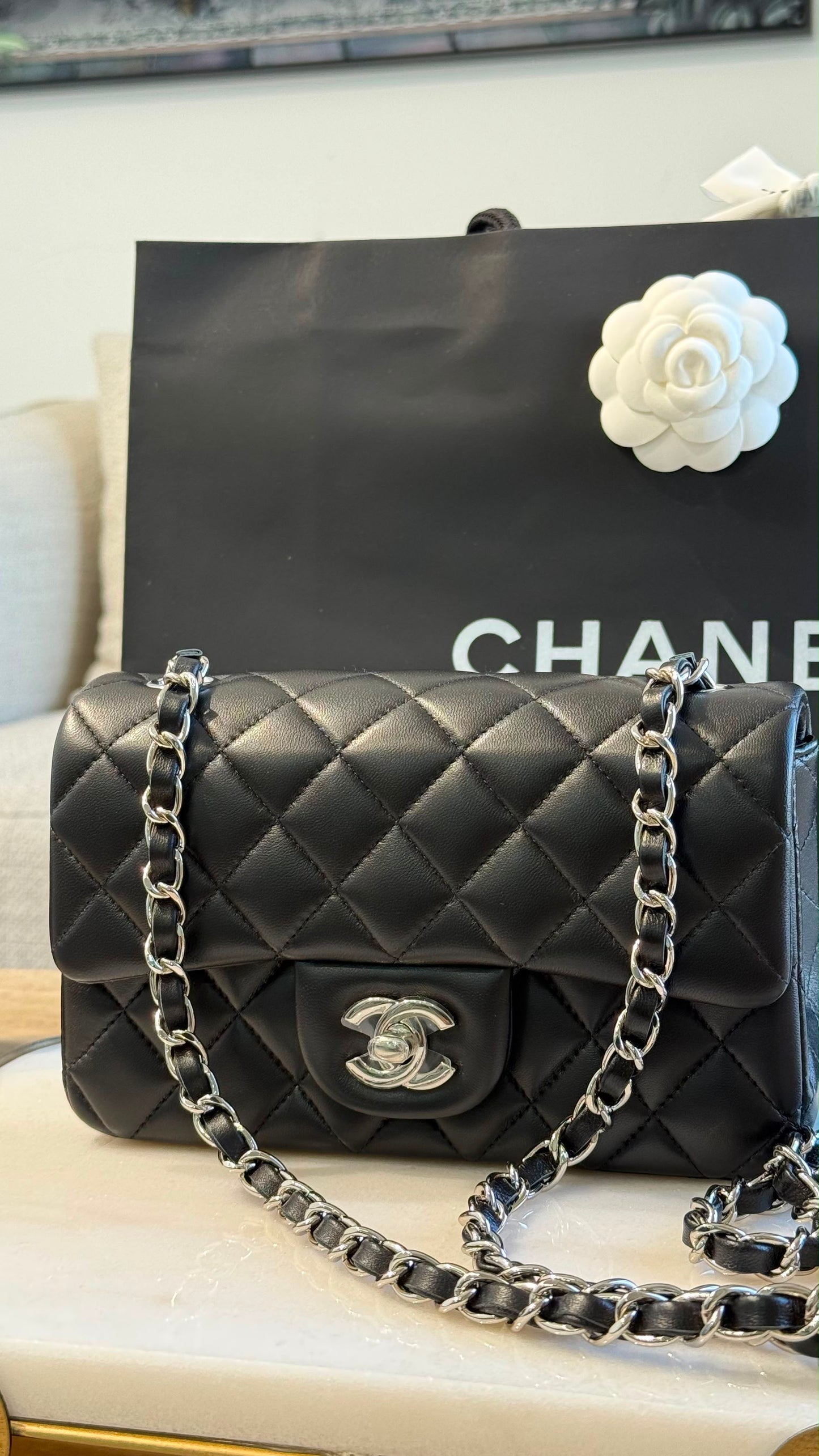 Coco Small classic 20 cm