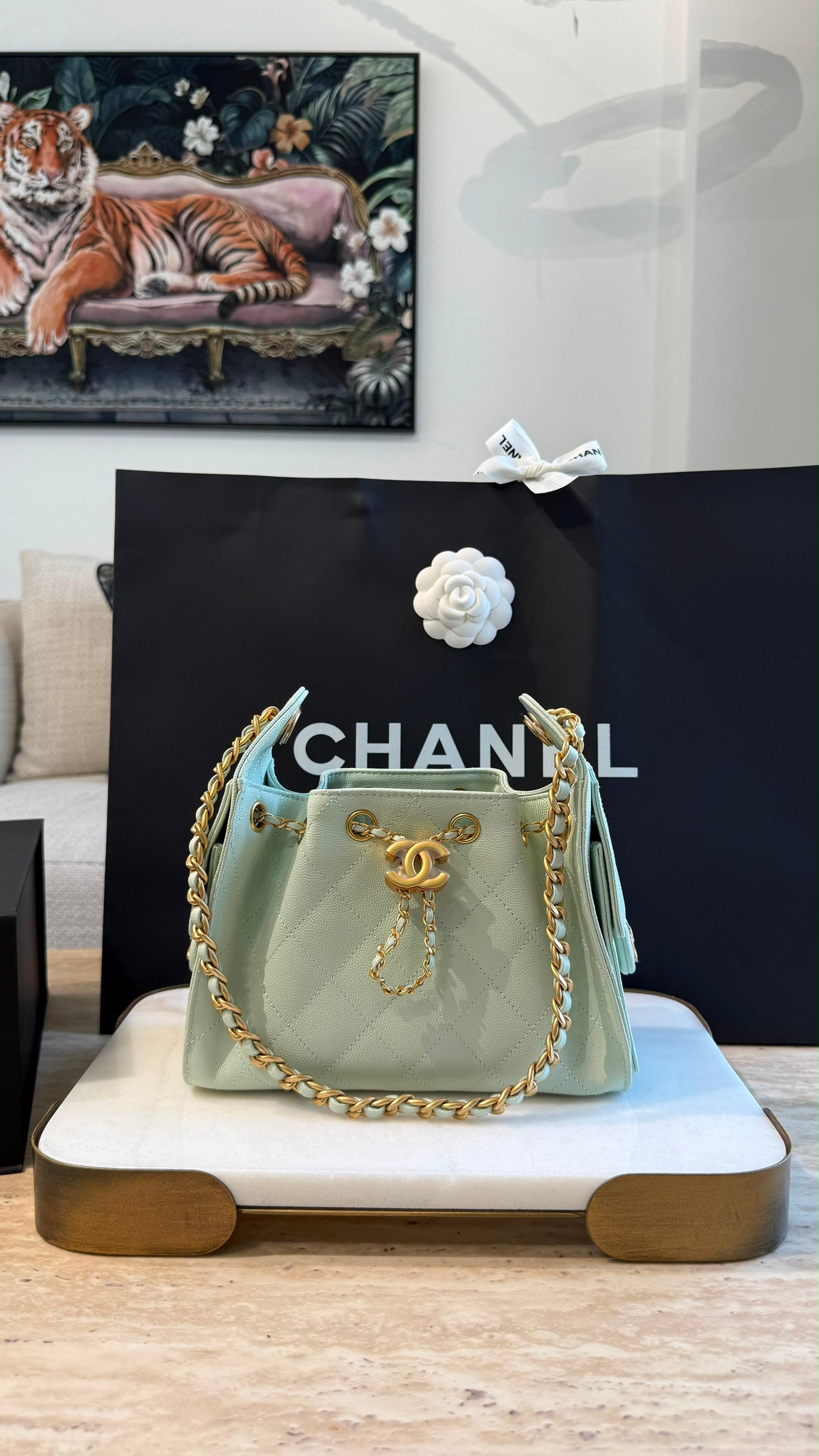 Chanel 25 Mini Handbag