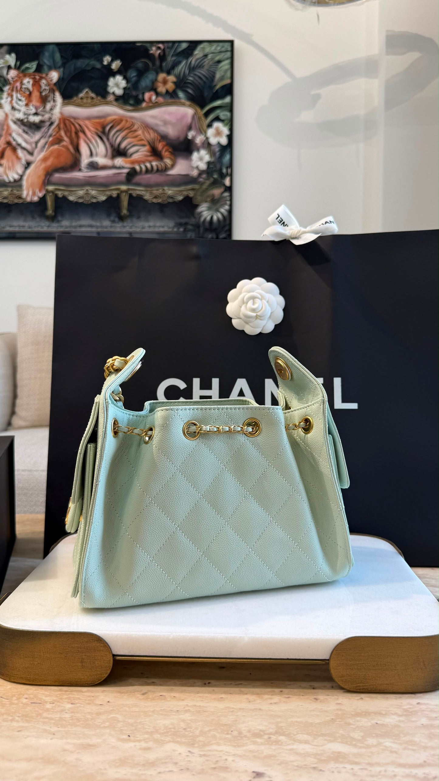 Chanel 25 Mini Handbag
